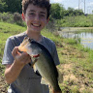 Meet your Posher, Como